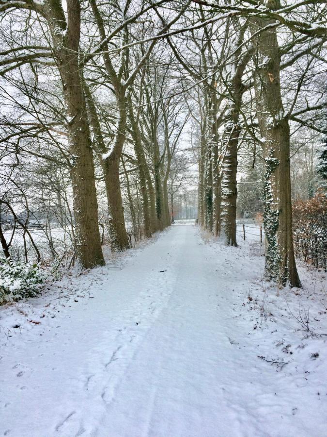 Landgoed Hoeve Honeswei Winterswijk Exterior photo